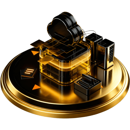 Black Friday Promotion